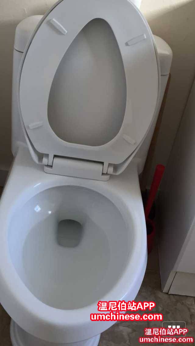 165502h7tqacmwqcmvmpit.jpg